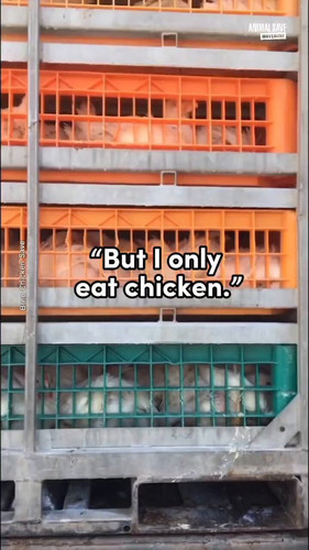 bqNeB9ofJ Je0PTO.jpg