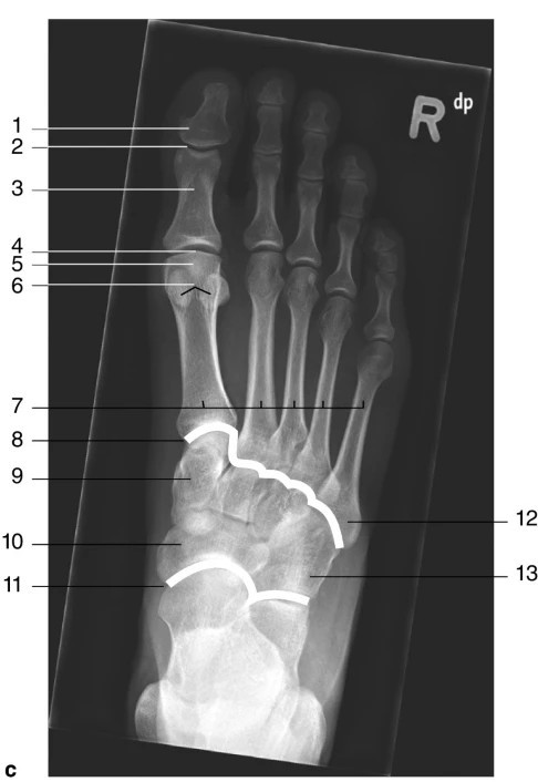 ba31932c042a.jpg