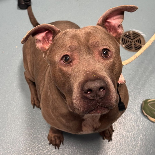 G L1FSla0AEXsnH?format=jpg.jpg