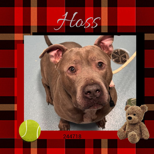 G QxhuxaoAAbHRx?format=jpg.jpg