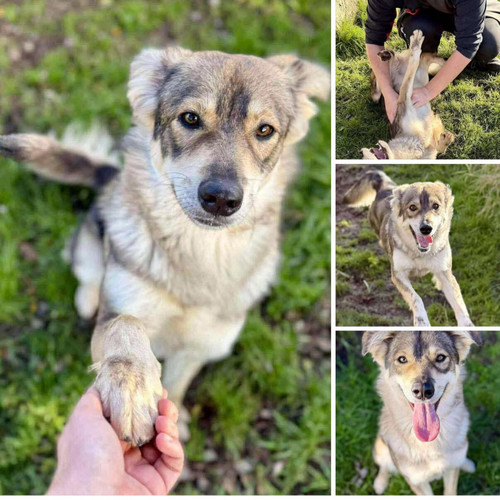 G YYuDHWEAAHa6 ?format=jpg.jpg