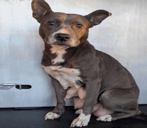 G a kP7WYAAv8 f?format=jpg.jpg