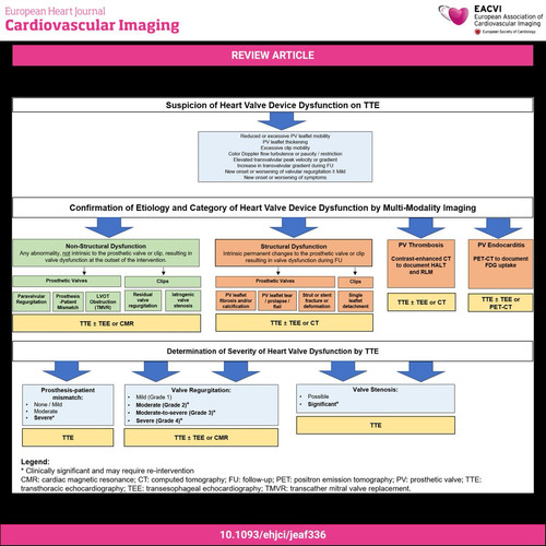 G Zk9s1XcAId6xW?format=jpg.jpg