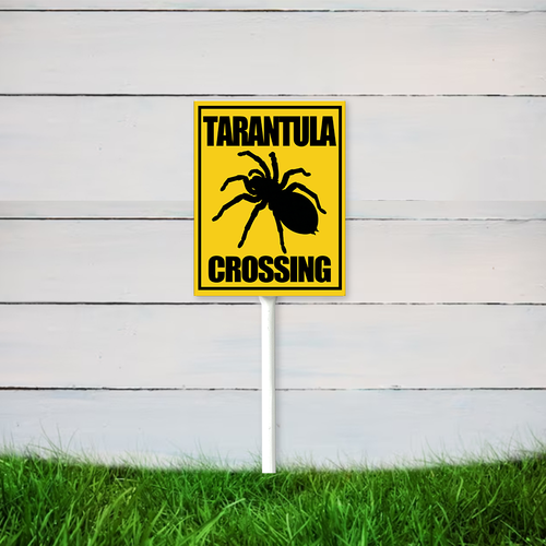 设计模版17.5x22 副本 1.png