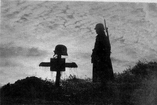 614228307 1410107700484623 4087156477016925779 n.jpg?stp=dst jpg p180x540 tt6& nc cat=102&ccb=1 7& n.jpg