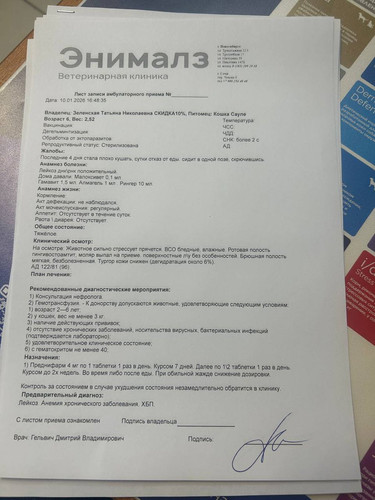 G X4fBzWEAAi9Q5?format=jpg.jpg