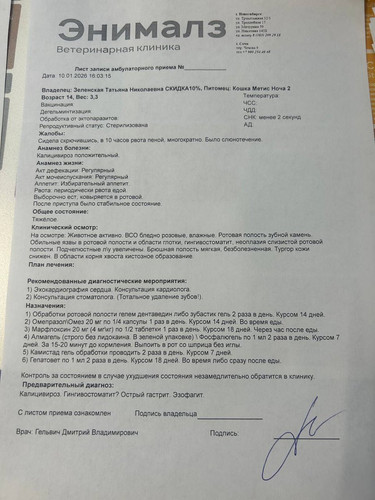 G X4fBqXAAEqkQR?format=jpg.jpg