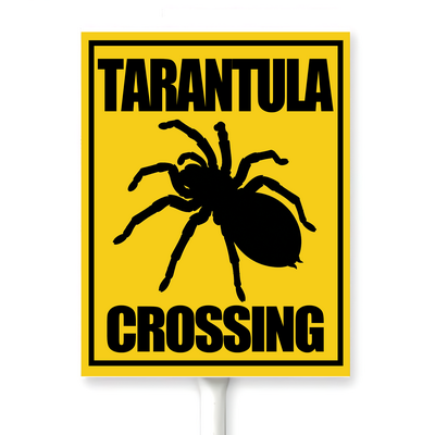 设计模版17.5x22 副本 1.png