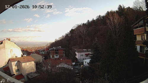 361b630e 91de 4504 848d 031cade4d01d.jpg