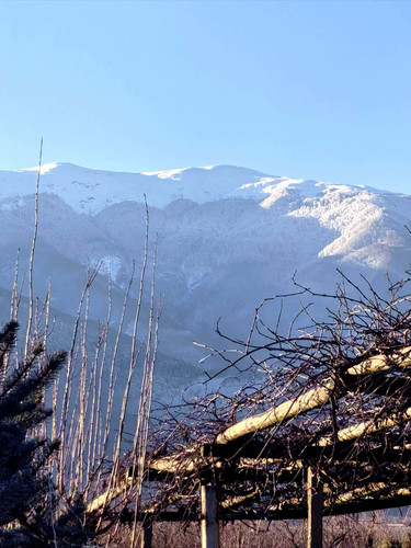 45d05841 44ea 445f 9a0e 68d1e4fe7682.jpg