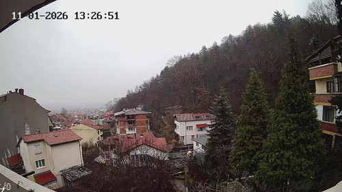 c79ab415 7ca6 4a87 bc3d 923d409bc55c.jpg