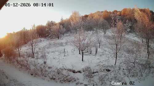 cf384328 3db5 4b32 a640 d61979598fa8.jpg