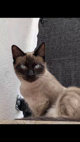 dZq R5Wvhb1klz0M.jpg