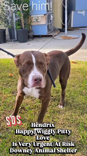 DcI7 aUIjKJYShvn.jpg