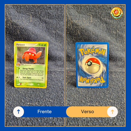 3af285db 3249 4c65 8d6d 17476c5a83de.png