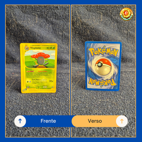 24ef165f acfe 46e6 9f90 8f81337d9210.png