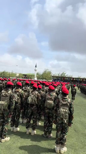 COCv82E7HNhs5wdr.jpg