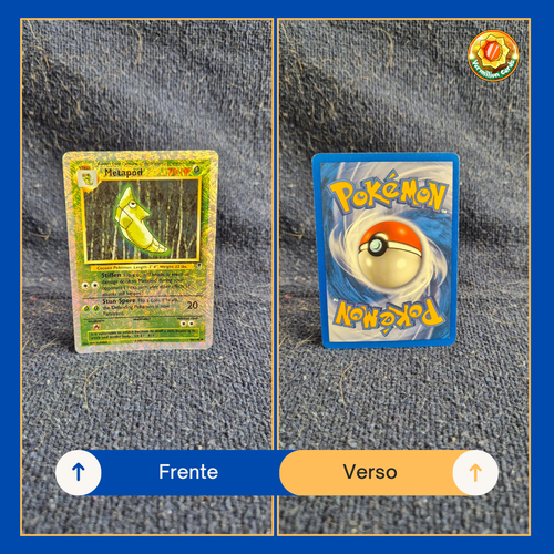 728fdb05 20b6 45ae a072 66b937a0df64.png