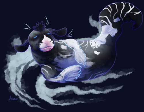 seal.jpg