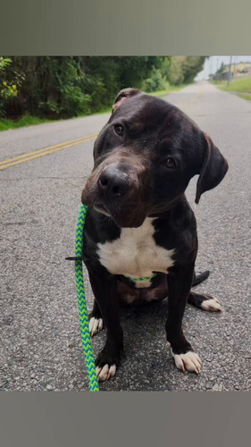 1xhnZR Vih7sL2gX.jpg