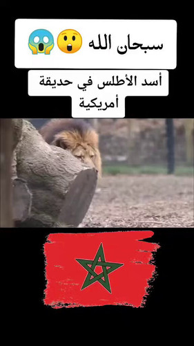 WziCWPNpV2aQq5zI.jpg