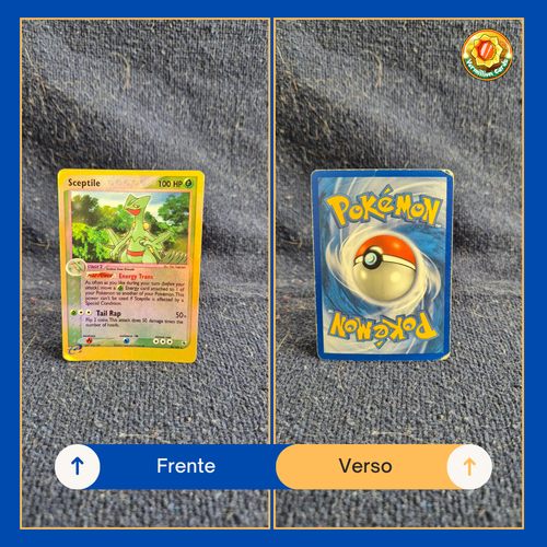 6462ede7 29a4 4cdd a84b 76120f094dc8.png