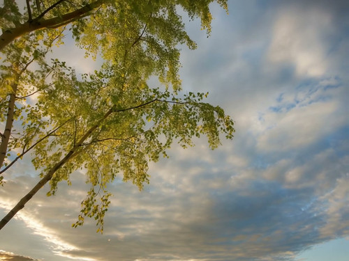 frame horizontal 001.jpg