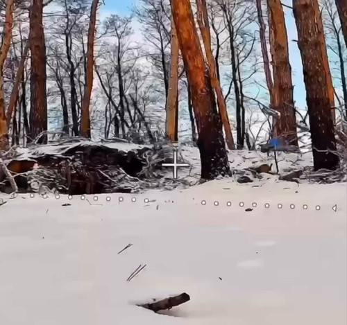 fJ3Jh5JHDBvzPi5T.jpg