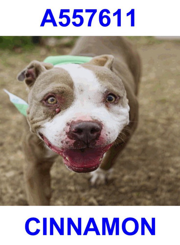 G Yrk5tXgAAtt8V?format=jpg.jpg