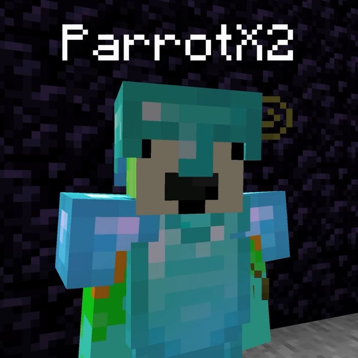 ParrotX2
