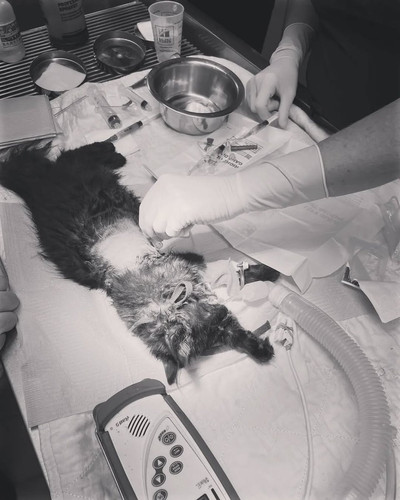 G dyDDIW4AA4QKy?format=jpg.jpg