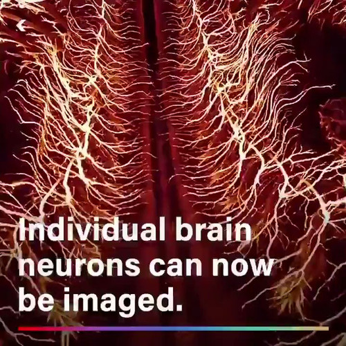 ZwxrxjEEq4Eb Lf0.jpg