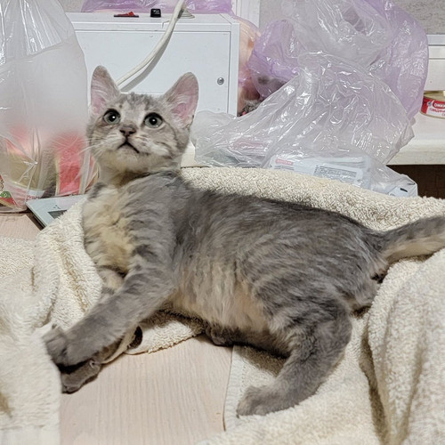 G ffJpXXMAAA0BV?format=jpg.jpg