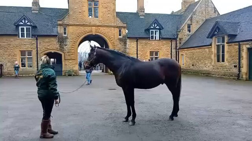 mu3ks Ih7UAZZTa .jpg