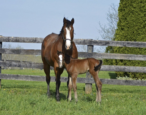 G acIcZW0AEDmyi?format=jpg.jpg