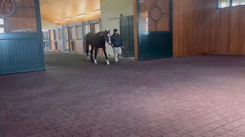 irQ scdFPg9jcc9f.jpg