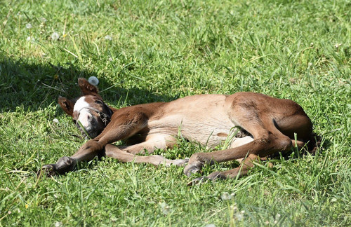 G acIclXYAAE tf?format=jpg.jpg