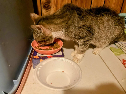 G b3UslW8AAti2b?format=jpg.jpg