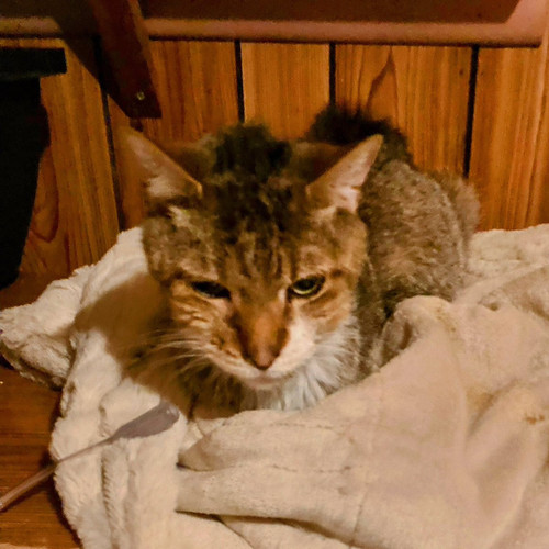 G b3UspWEAAIVEw?format=jpg.jpg