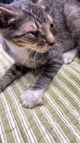 IAEabjrZ OGimhAT.jpg