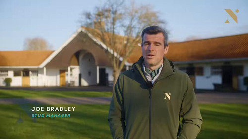 DMB99 Fve3byOo a.jpg