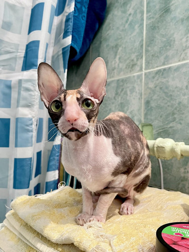 G dQwa9WQAA Qdx?format=jpg.jpg