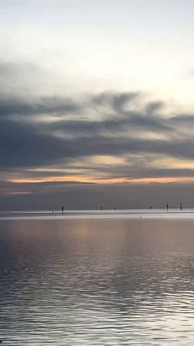 mkitaX3O9IWGOa2 .jpg