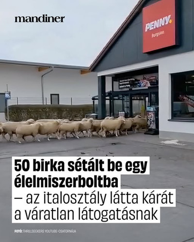 614589000 1383840040421341 9157749952495791885 n.jpg?stp=dst jpg s640x640 tt6& nc cat=102&ccb=1 7& n.jpg