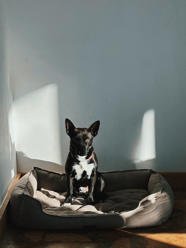 G cke0NXgAEodmT?format=jpg.jpg