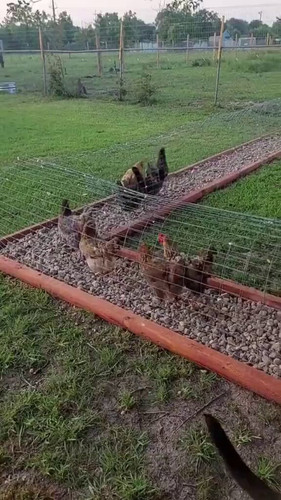 8V i26yZvm esrE5.jpg