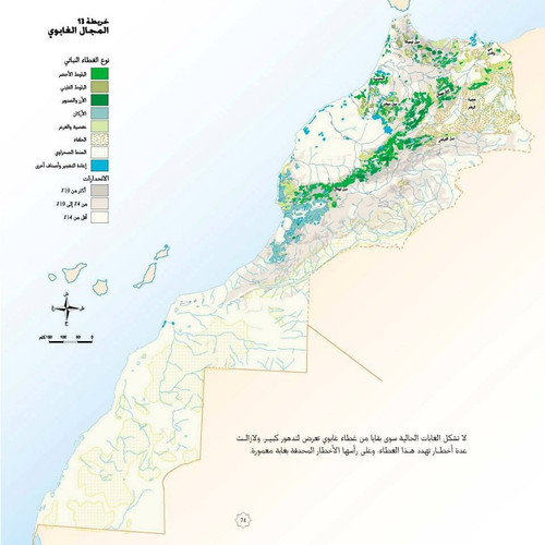 465017560 27913281448256159 8643730155689347896 n.jpg