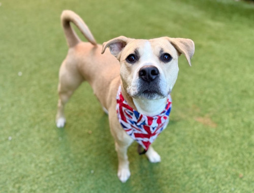 G RQA9mbYAAOXca?format=jpg.jpg