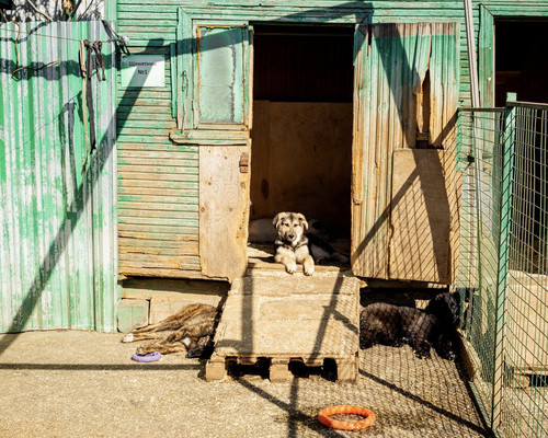 G eocxFXYAEbdg3?format=jpg.jpg