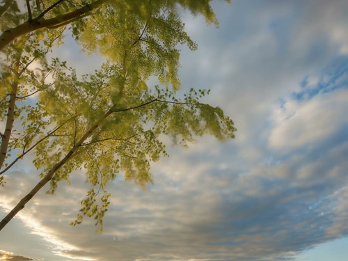 frame horizontal 002.jpg